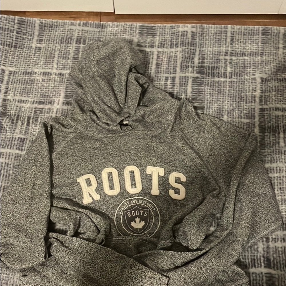 Roots Plus Sized Gray Pullover Hoodie